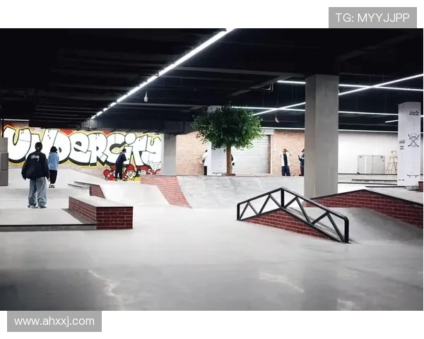 成都滑板队的耐力挑战与成长之路探秘